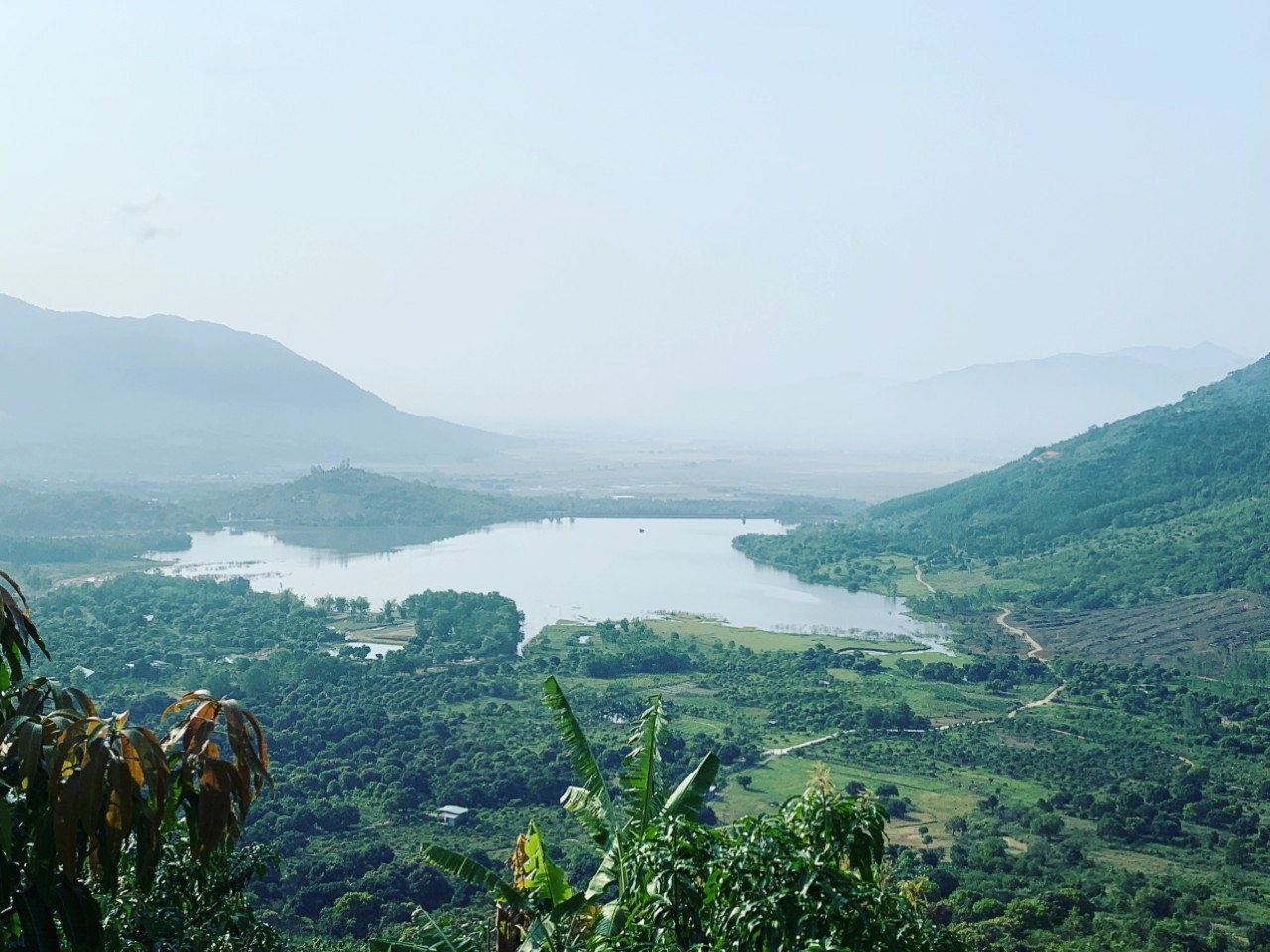 Gần 1.8ha Am Chúa xã Diên Điền trồng full cây xoài