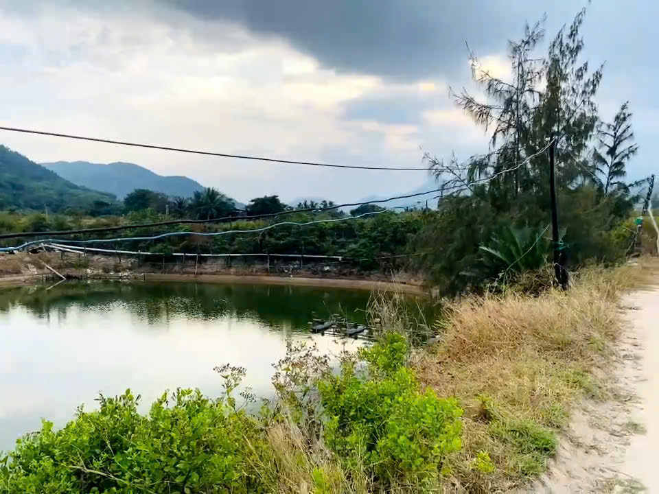 [ Đất dân có Thổ Cư, Sát Vịnh Cam Ranh ( 6500m² )  ] VIEW BIỂN TUYỆT ĐẸP