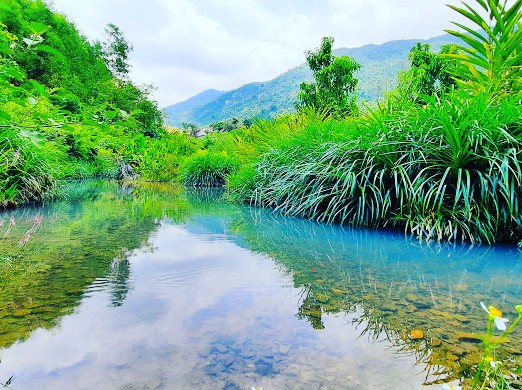 1.5ha suối Ninh Hưng Ninh Hòa