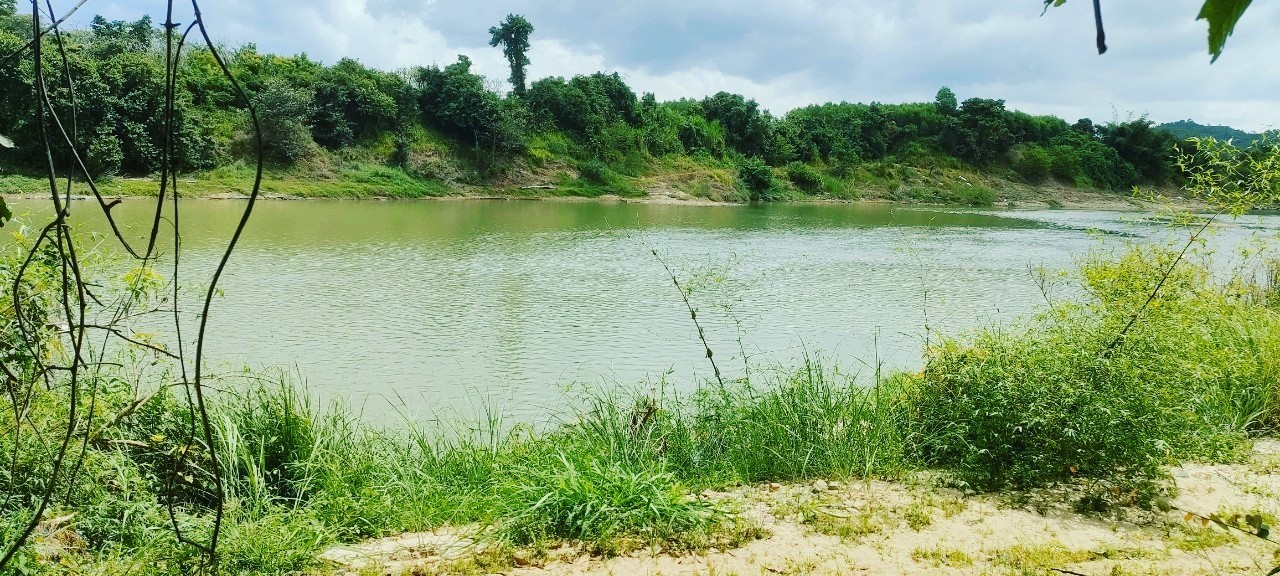 1,1ha Mặt sông Chò Diên Đồng hù Hợp  làm mini farm, nhà vườn