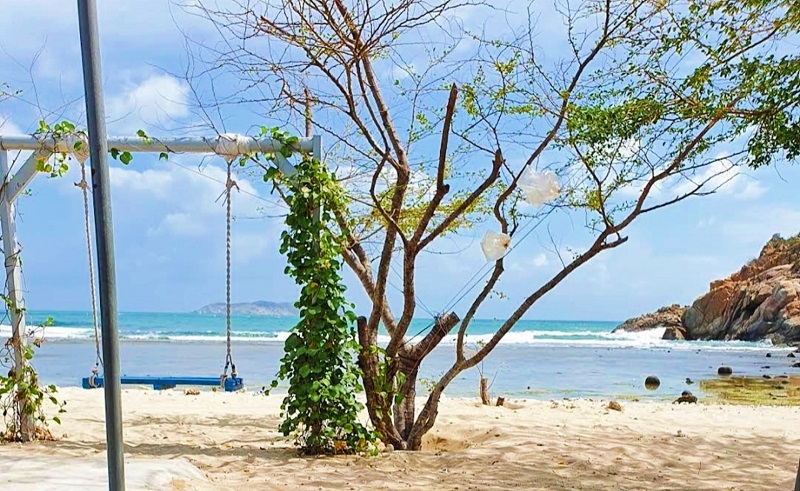 BIỂN NINH VÂN - NINH HÒA  hơn 1,2ha đất trồng cây