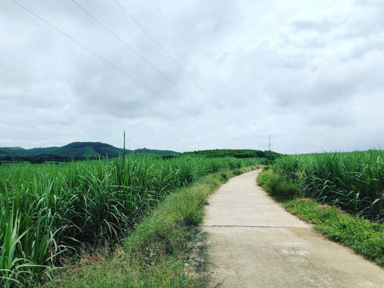 12ha đất rừng sản xuất Khánh Nam, Khánh Vĩnh cách tttp Nha Trang : 36km