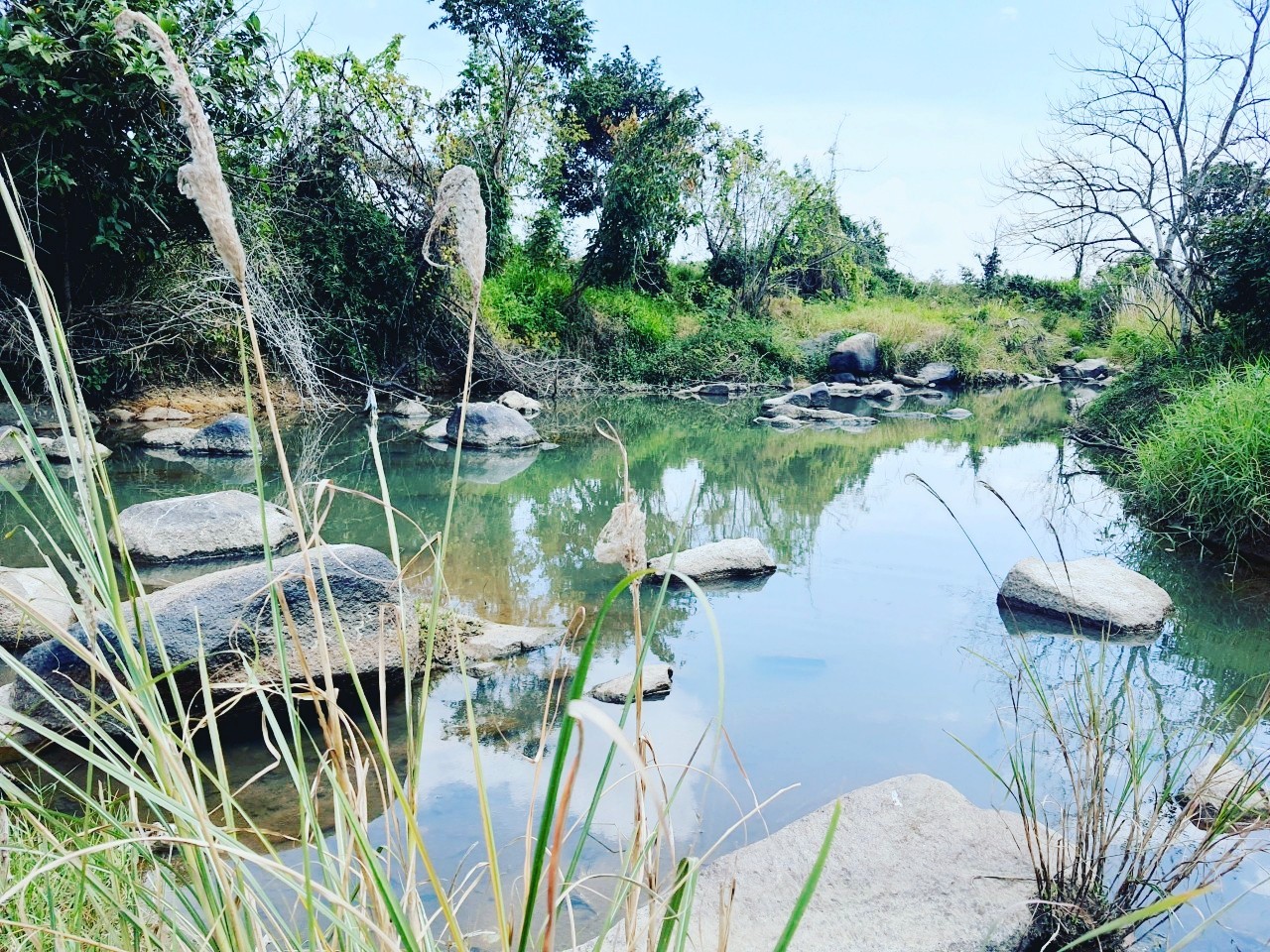 3764m2  đất trồng cây Suối Ninh Xuân, Ninh Hòa - dài 54m