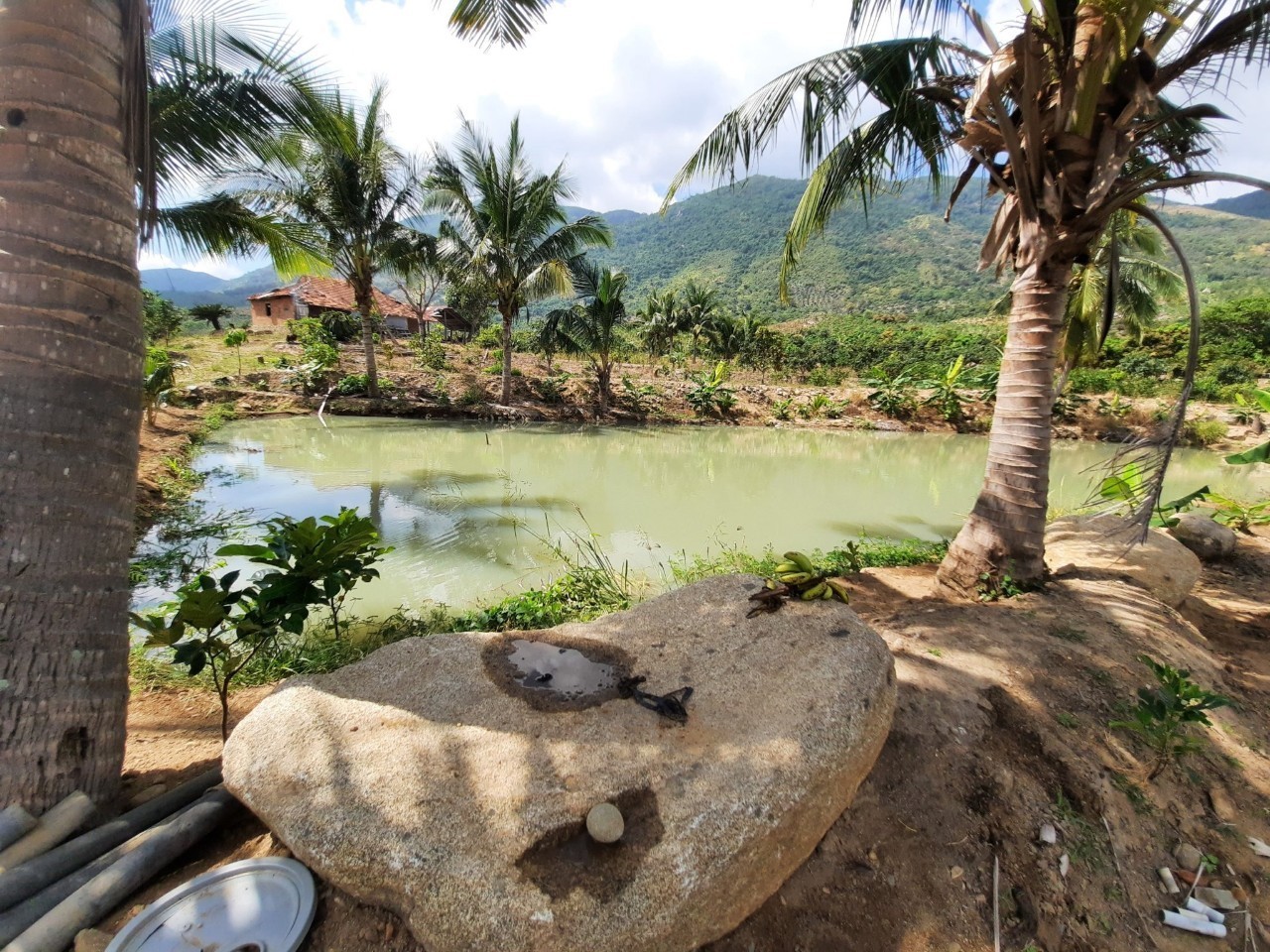 Đất rẫy Cảnh thôn quê Đắc Lộc Nha Trang - gần 5ha đất Có suối chảy