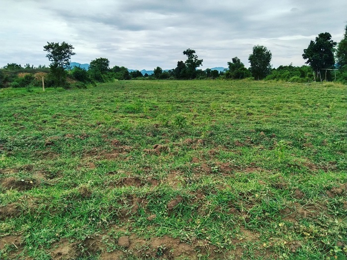 3ha lưng tựa núi, mặt ngập sóng biển dài gần 65m tại Bình Lập Cam Ranh