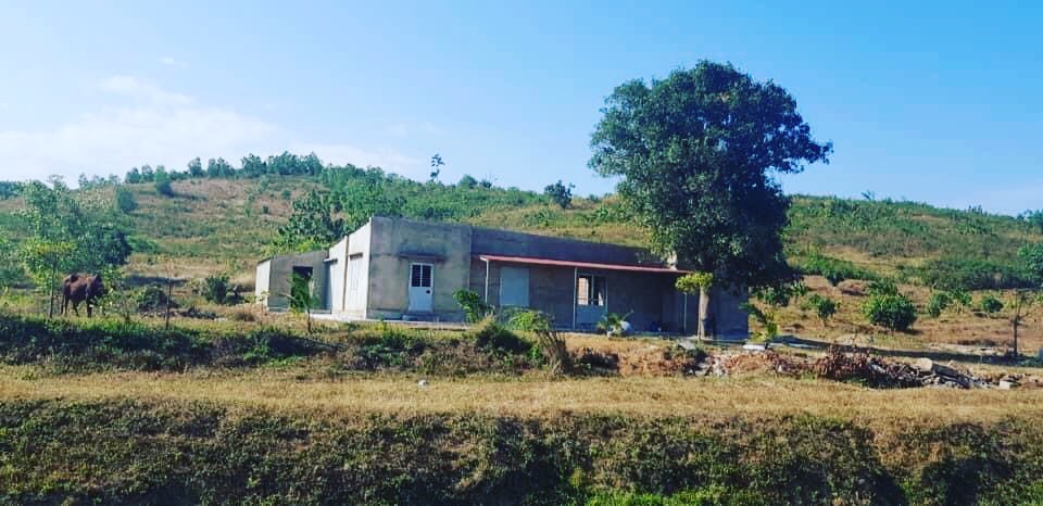 25ha Farm Siêu Rẻ đường ô tô tại Ninh Sơn Ninh Hòa