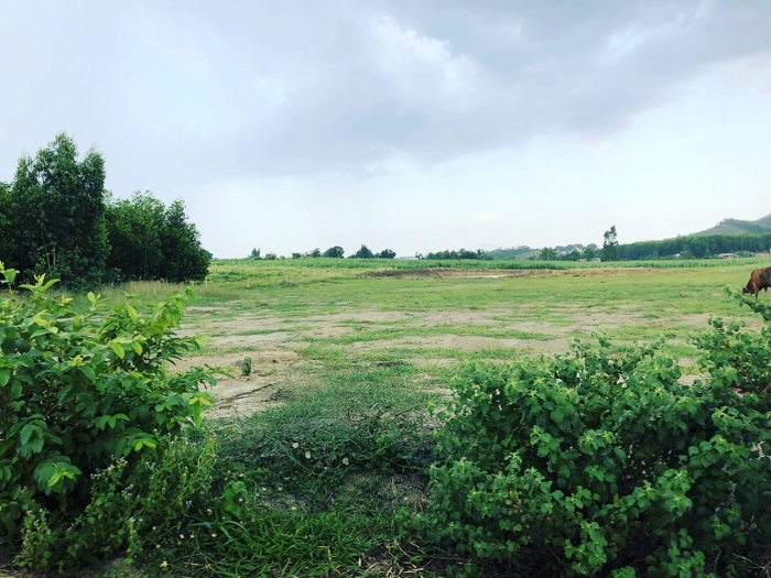 Đất gần suối khoáng nóng Trường Xuân ngang gần 60m