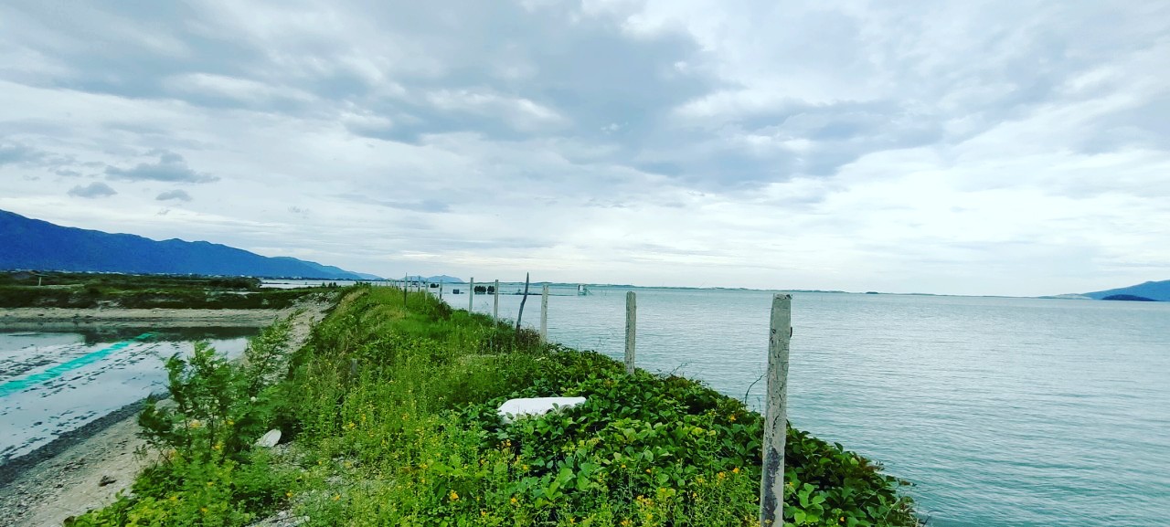 5000m2 mặt biển Vịnh Vân Phong