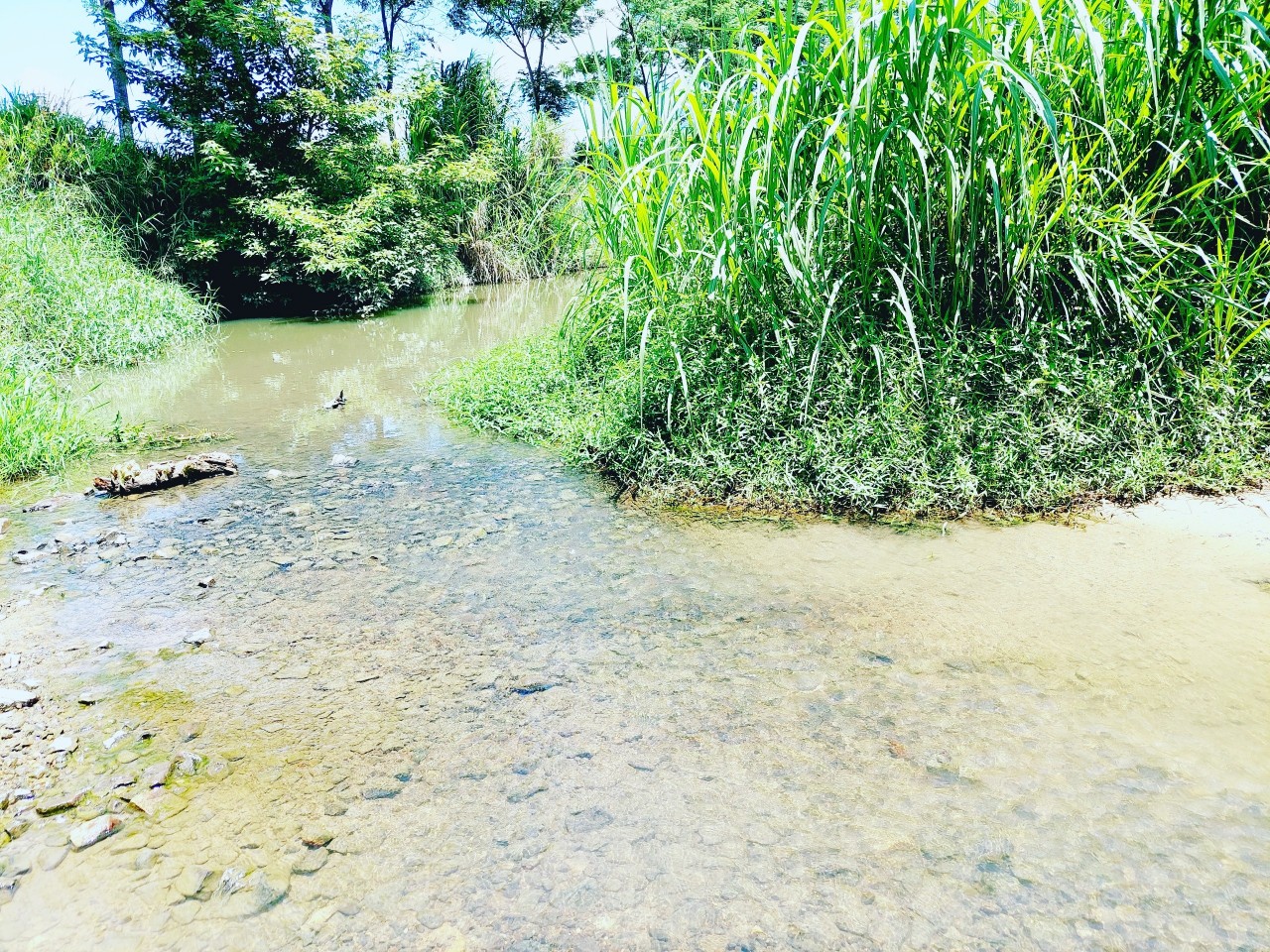 LÔ đất SUỐI thôn Đống Đa, xã Ninh Sim giá đầu tư