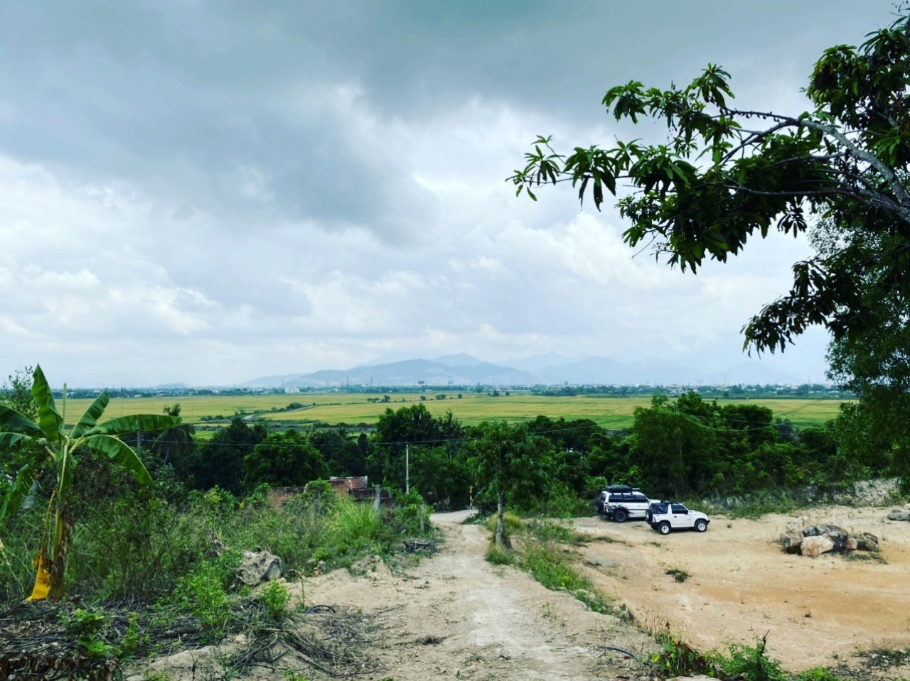 Mini vườn Diên Toàn view cánh đồng bát ngát