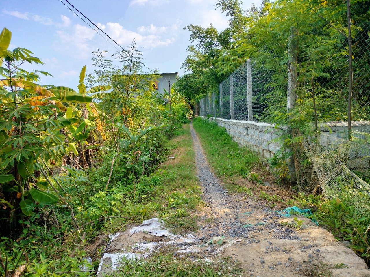 Lạc An, Ninh Thọ - có sẵn thổ cư cách Ql1a 250m