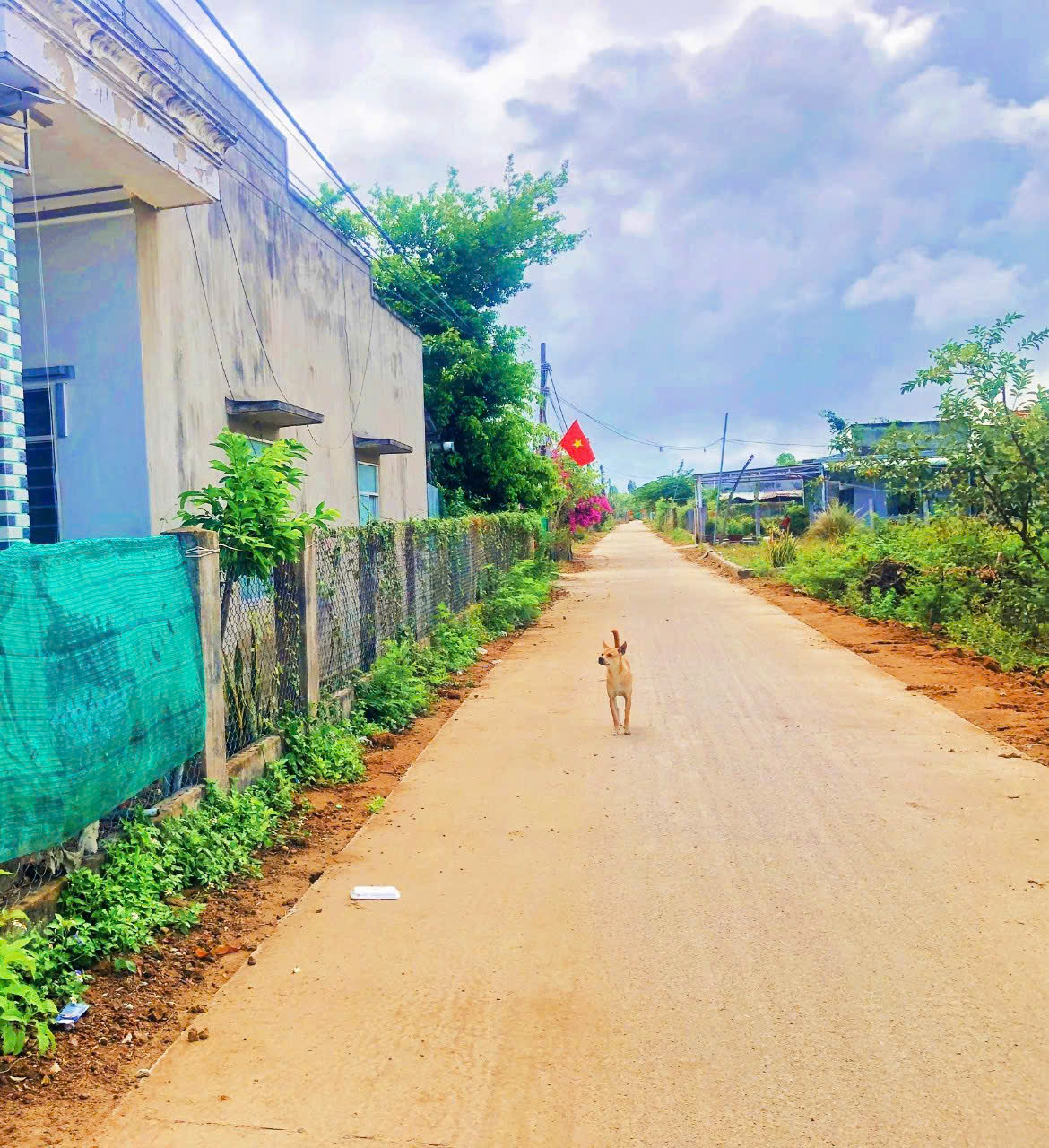 [ Góc 2 mặt tiền Vạn Hưng - vị trí mê ly ] ** gần kcn Dốc Đá Trắng **