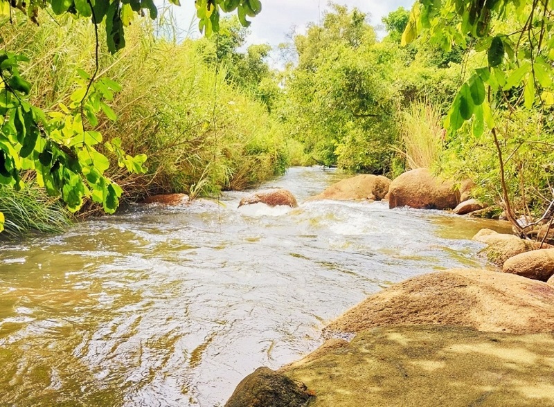 Farm 8ha Suối đá lớn giữa đất, nước lớn quanh năm đep mê mẩn Ninh Thượng