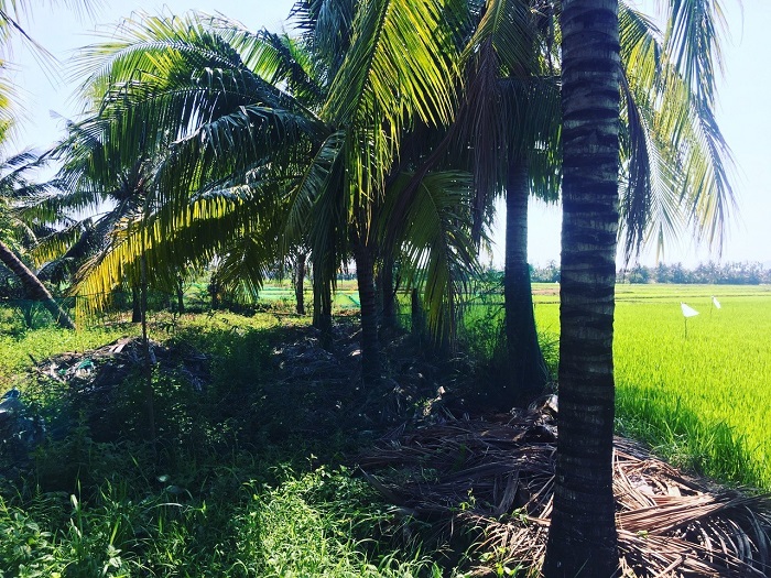 358m2 đất nông thôn giáp ruộng xã Ninh Bình Ninh Hòa