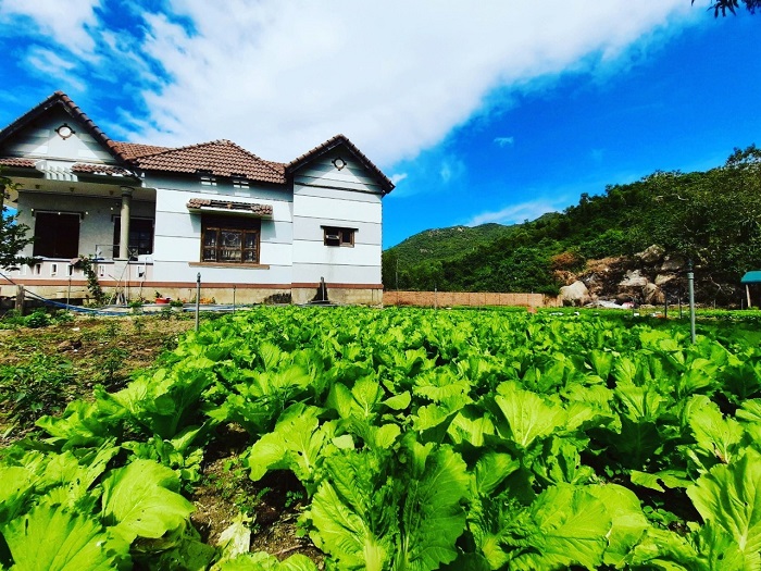 Biệt thự Mini VƯỜN VIEW BIỂN Vịnh Nha Phu