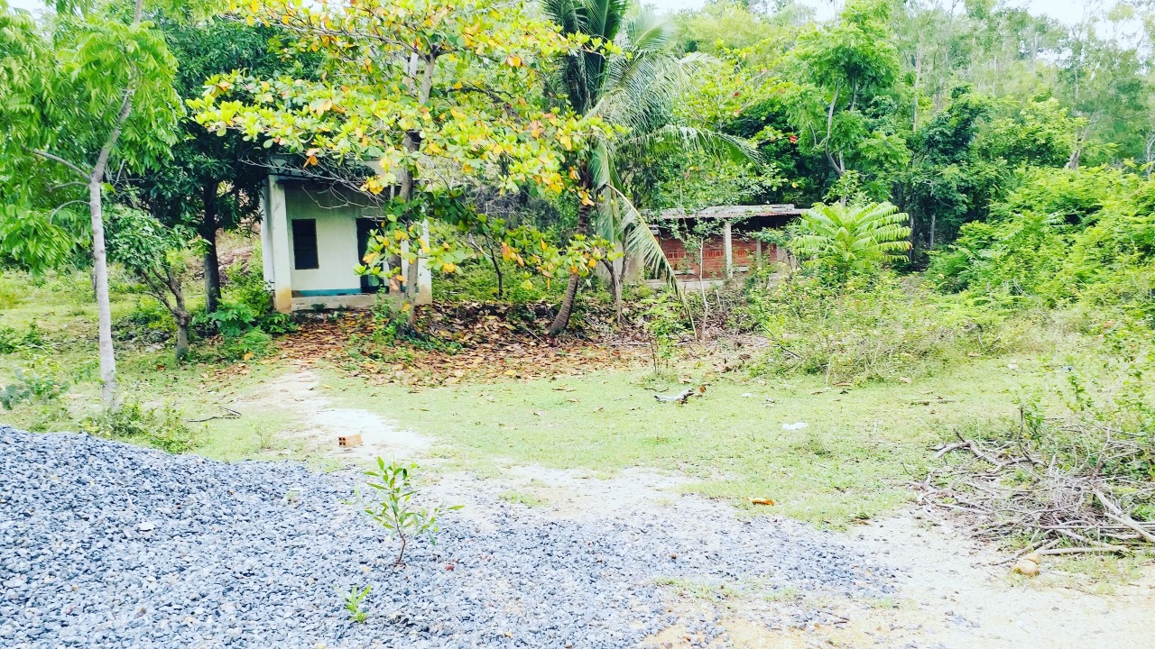 Đất phù hợp làm nhà vườn, nghỉ dưỡng 2000m2 Ba Ngòi Cam Ranh
