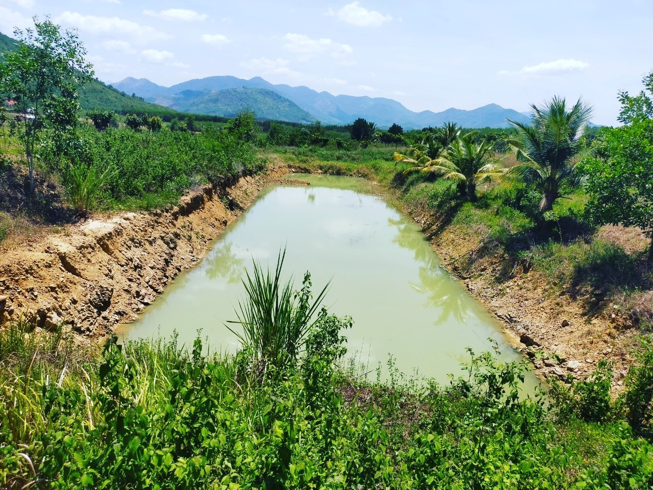 7.2ha Mini farm Ninh Xuân Ninh Hòa