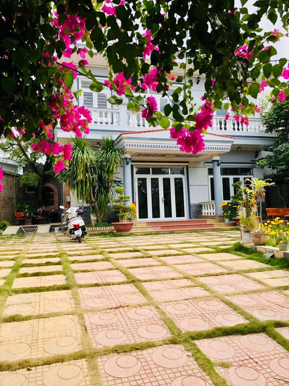 ☘️ Bán căn Biệt Thự nhà vườn tại thôn Võ Cang Vĩnh Trung