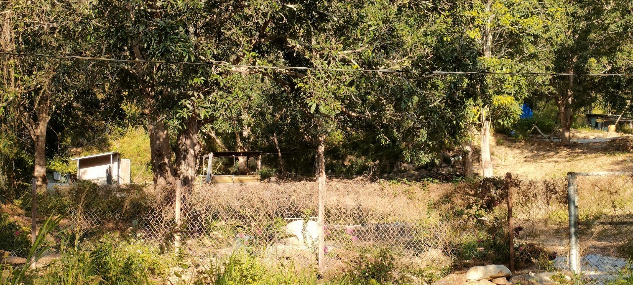 Đất vườn Vĩnh Lương trước mặt đất là suối