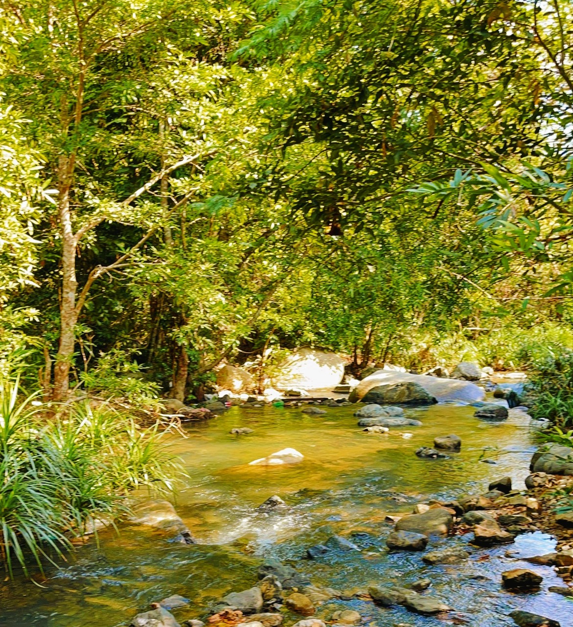 8ha Suối đep mê mẩn  - Ninh Lộc Ninh Hòa gần Suối Trường Bơi