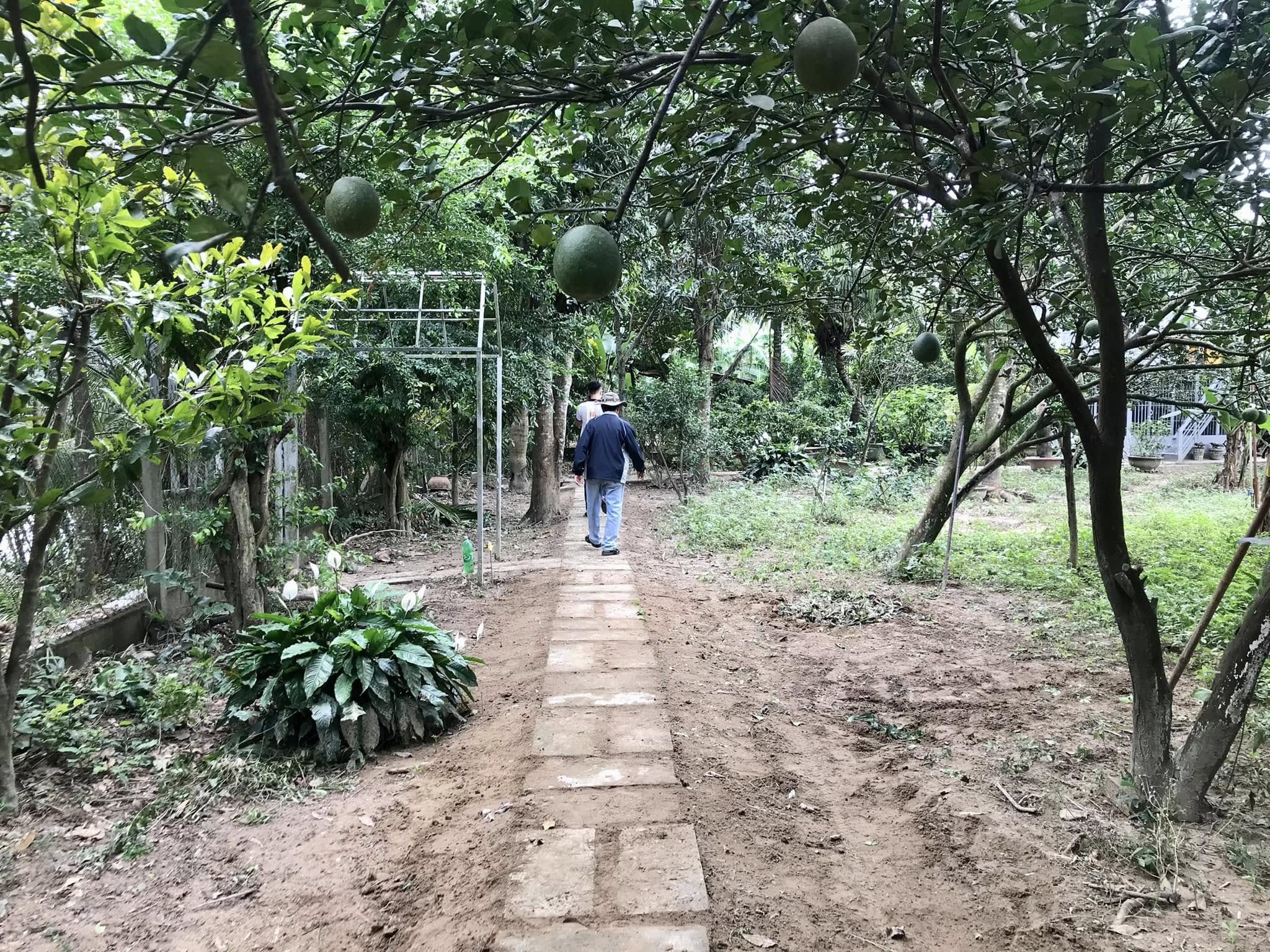 ☘️ Bán vườn cây ăn trái, view Sông tại Diên Lạc