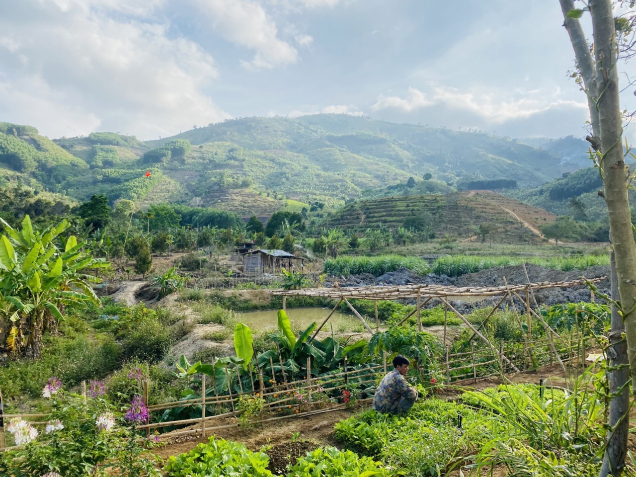 Đất trồng cây 6ha huyện Khánh Sơn cách tttp Nha Trang: 85km