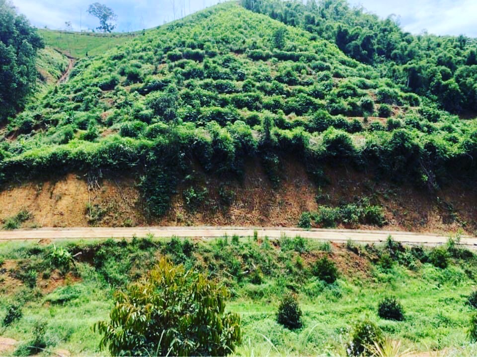 Cung đường Sầu Riêng xã Sơn Hiệp Khánh Sơn